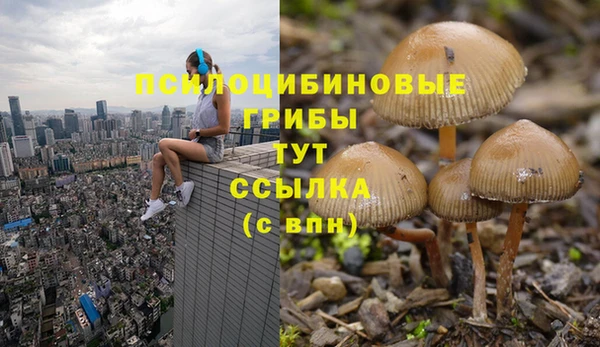 кокаин Алексин